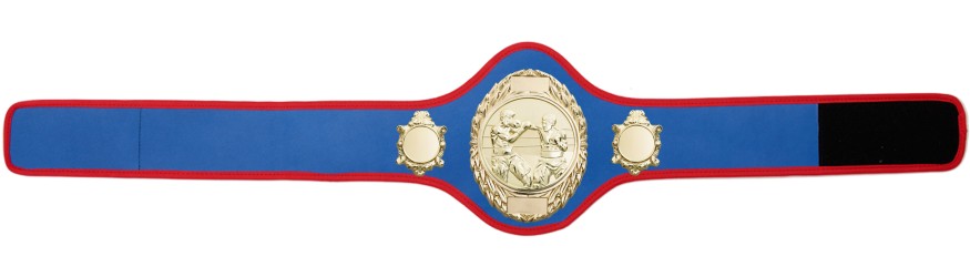 BOXING CHAMPIONSHIP BELT-PRO286/G/BOXG-10+ COLOURS